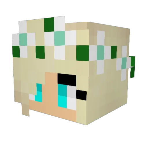 Vagabondo12 Minecraft avatar head, 3D render