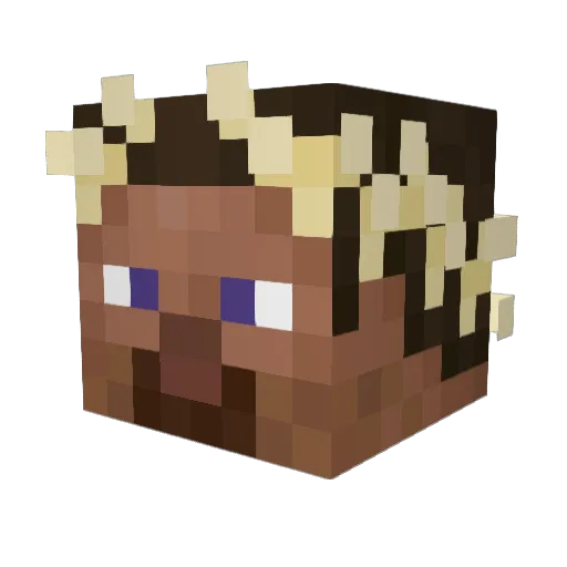 Vagabonndd Minecraft avatar head, 3D render