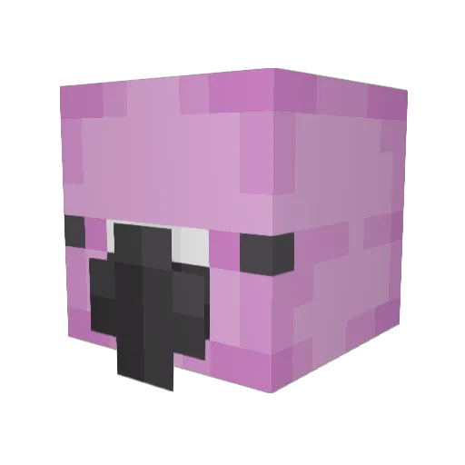 Vagkrem Minecraft avatar head, 3D render