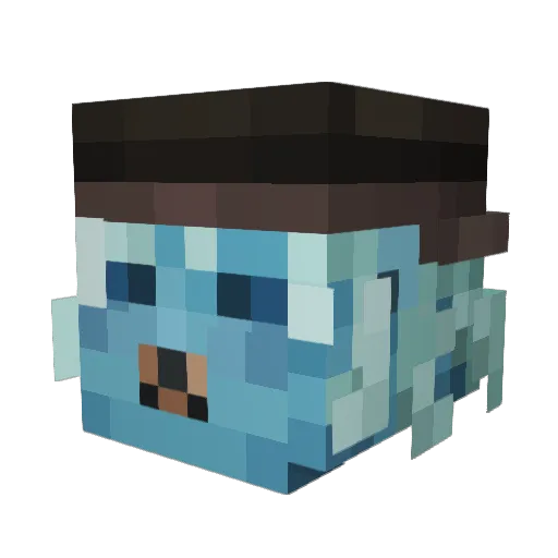 VagueNightmares Minecraft avatar head, 3D render