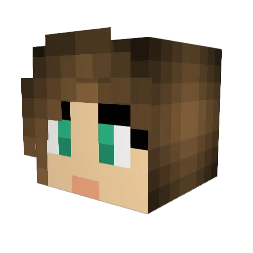 VaguelyCynical Minecraft avatar head, 3D render