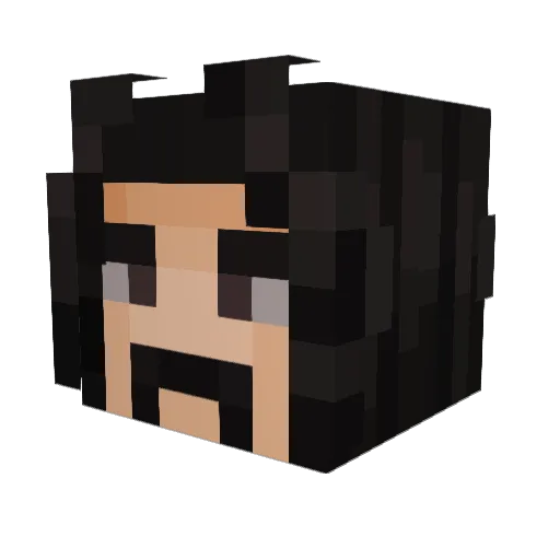 Vahakin Minecraft avatar head, 3D render
