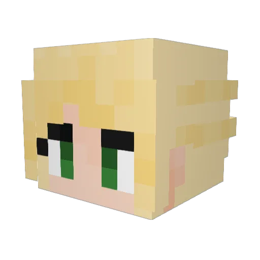 Vahgabond Minecraft avatar head, 3D render