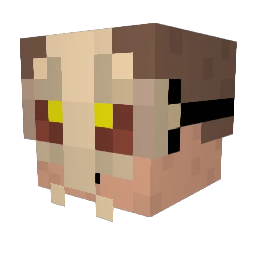 Vaicou Minecraft avatar head, 3D render