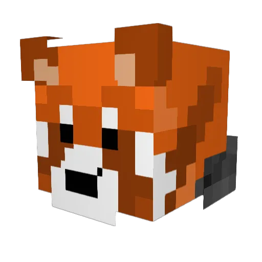 Vaidanda Minecraft avatar head, 3D render