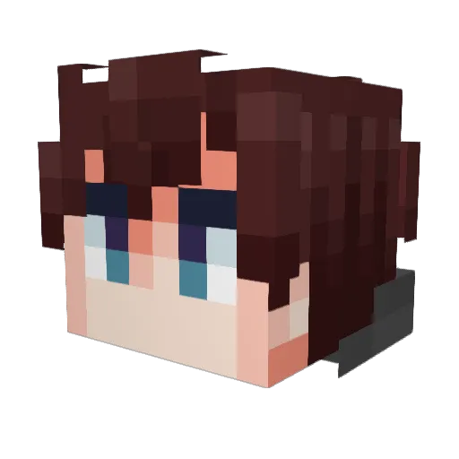 Vaiden_Deb Minecraft avatar head, 3D render