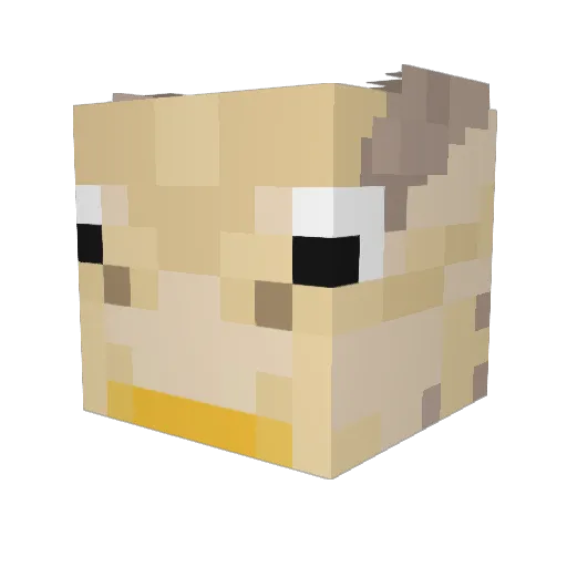 Vaidouz Minecraft avatar head, 3D render