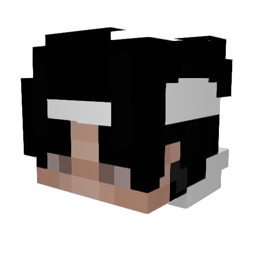 Vaiett Minecraft avatar head, 3D render