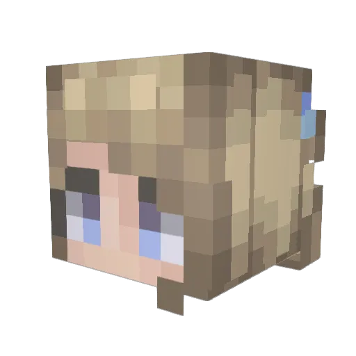 VaiinZ_SteeL Minecraft avatar head, 3D render