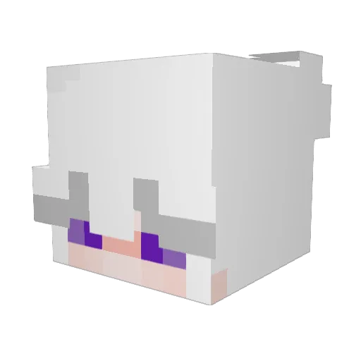 Vaikinas Minecraft avatar head, 3D render