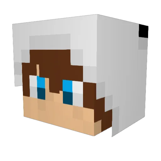 Vailaix Minecraft avatar head, 3D render