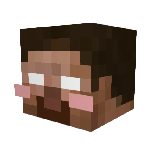 VailingSpace153 Minecraft avatar head, 3D render