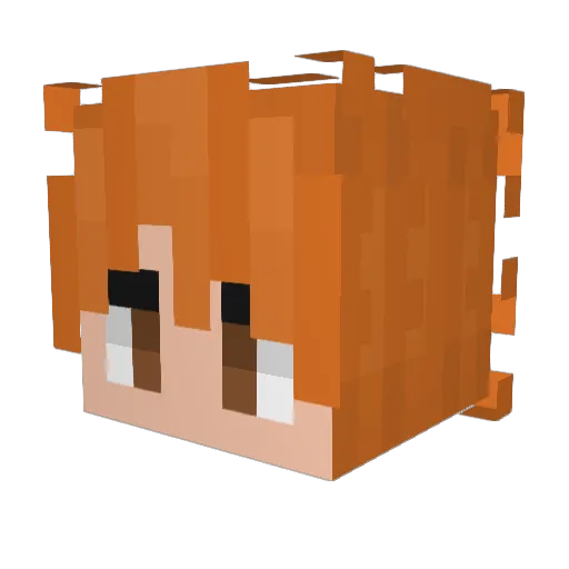 Vaimerrrr Minecraft avatar head, 3D render