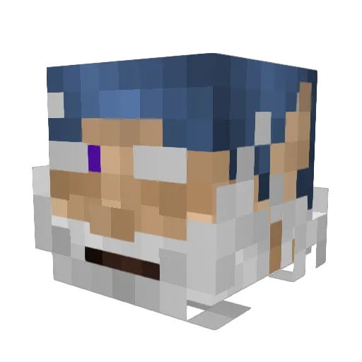VainVain8841 Minecraft avatar head, 3D render