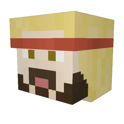 Vainhunt Minecraft avatar head, 3D render