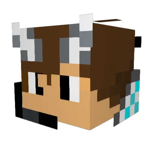 Vainilla117 Minecraft avatar head, 3D render