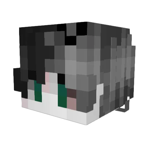 Vainoe Minecraft avatar head, 3D render