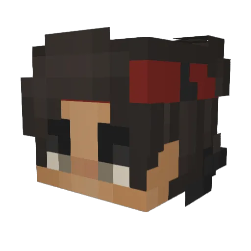Vaiter Minecraft avatar head, 3D render