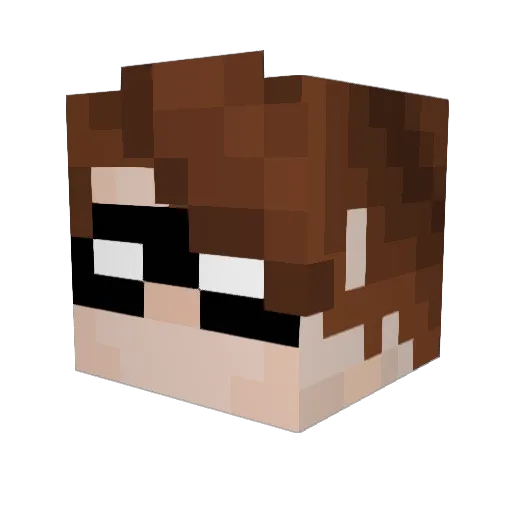 Vajtor214 Minecraft avatar head, 3D render