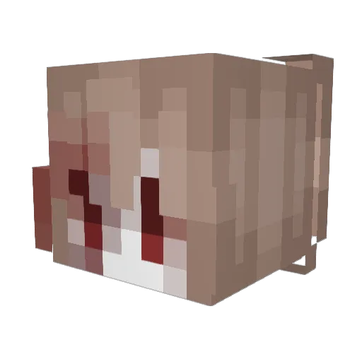 VakaVG Minecraft avatar head, 3D render