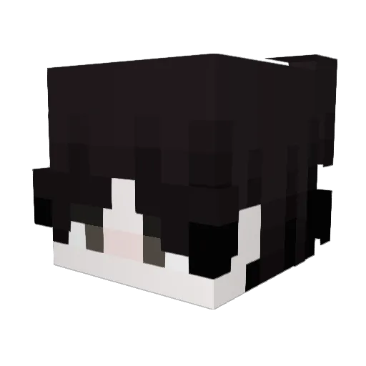 Vakarians Minecraft avatar head, 3D render