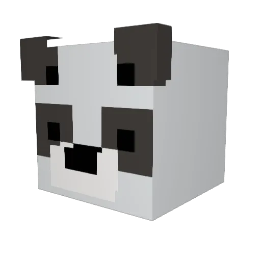 Vakaris8 Minecraft avatar head, 3D render