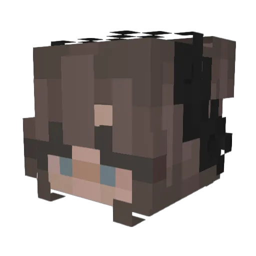 Vakation Minecraft avatar head, 3D render