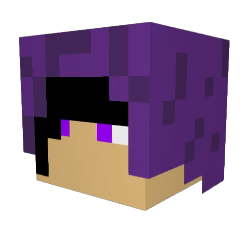 VakeGamer Minecraft avatar head, 3D render