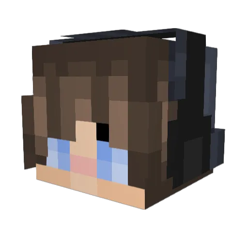 Vakenn Minecraft avatar head, 3D render