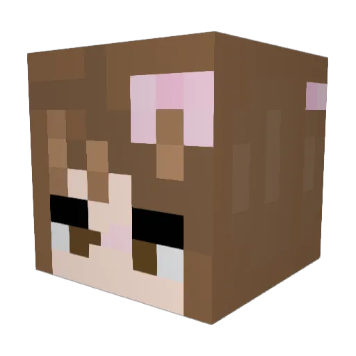 ValMeow Minecraft avatar head, 3D render