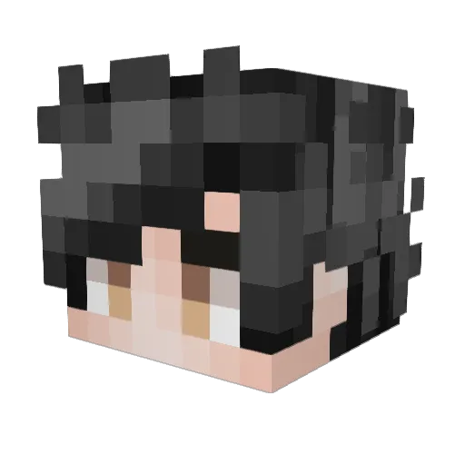 ValaGames09 Minecraft avatar head, 3D render