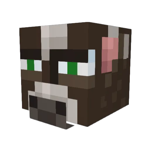 Valac77 Minecraft avatar head, 3D render
