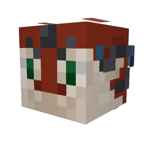 Valacuga Minecraft avatar head, 3D render