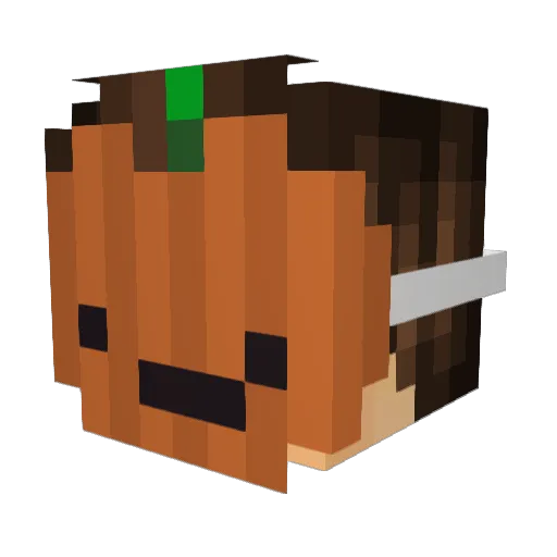 Valande Minecraft avatar head, 3D render