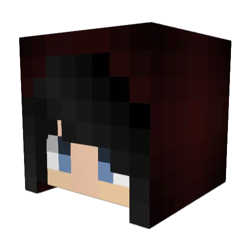 Valaran Minecraft avatar head, 3D render