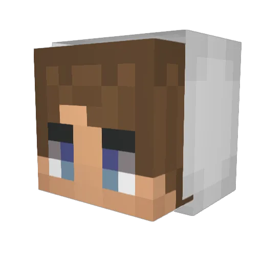Valasin Minecraft avatar head, 3D render