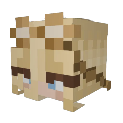 Valaval Minecraft avatar head, 3D render