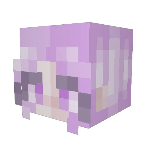 Valbug1 Minecraft avatar head, 3D render