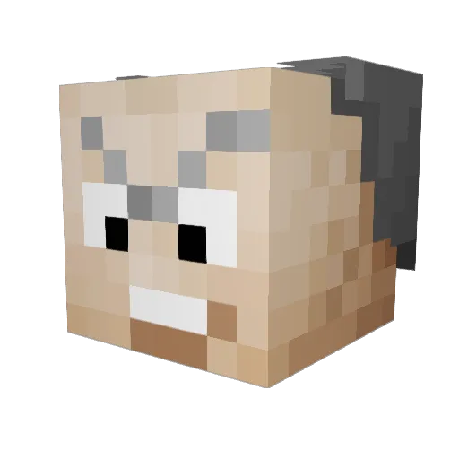 Valdax Minecraft avatar head, 3D render