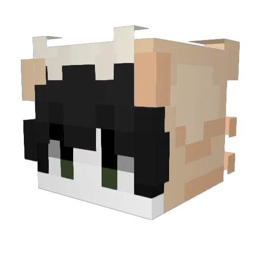 Valdosta Minecraft avatar head, 3D render