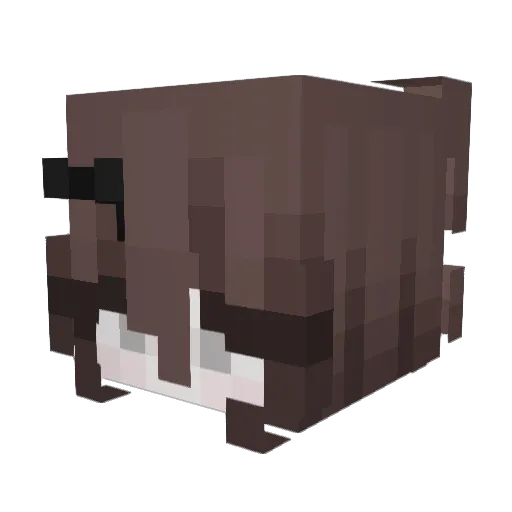 Valduino Minecraft avatar head, 3D render