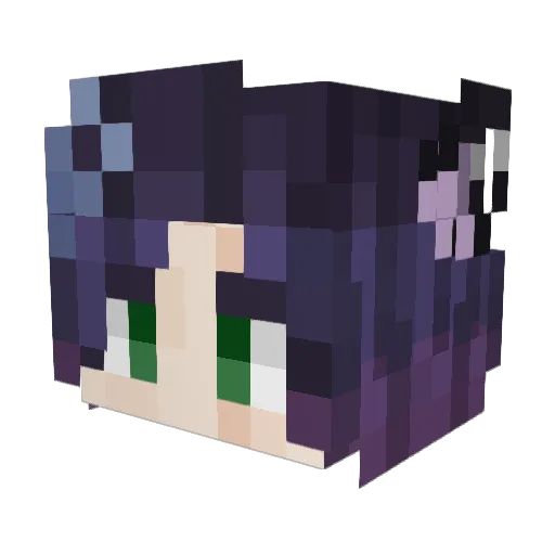 ValeRexX Minecraft avatar head, 3D render