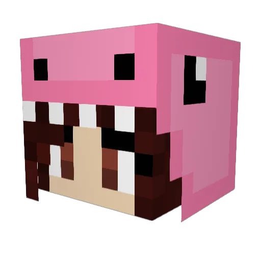 ValeWall_e Minecraft avatar head, 3D render