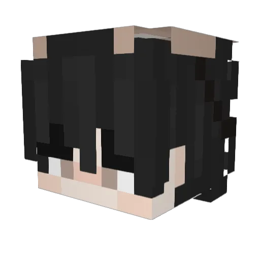 Vale_211 Minecraft avatar head, 3D render
