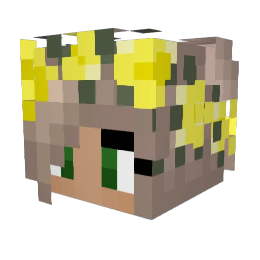 Valei92 Minecraft avatar head, 3D render