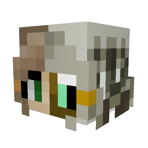 ValenWyvern Minecraft avatar head, 3D render