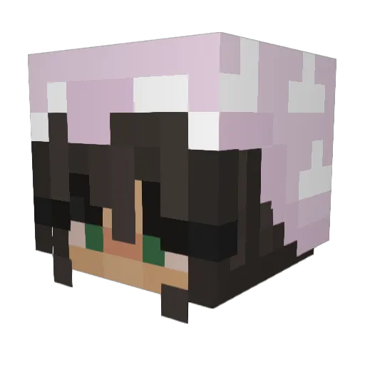 Valencia20 Minecraft avatar head, 3D render