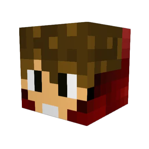 Valencia8300 Minecraft avatar head, 3D render