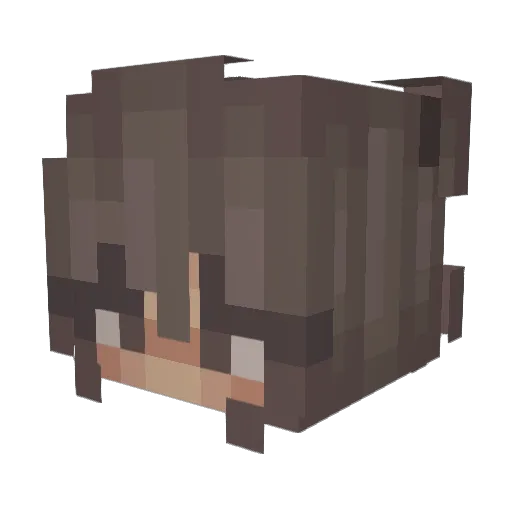 Valenight09 Minecraft avatar head, 3D render