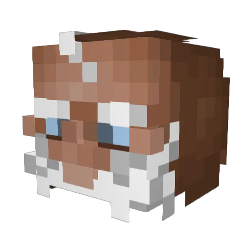 Valenion Minecraft avatar head, 3D render